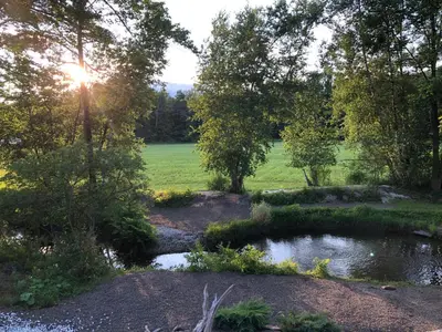 a garden with a pond and trees and a field at WOODSTOCK HISTORIC ARTIST ESTATE - THE MUSEUM HOUSE in Woodstock