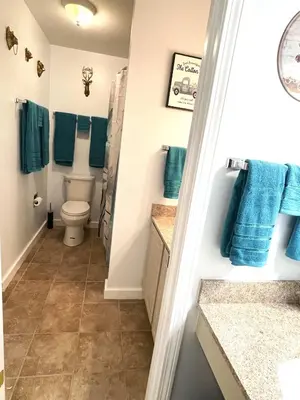 a bathroom with a toilet and blue towels at Deluxe Mountain Fox Suite Jiminy Peak - Ski On Off - Fully Redone Decor in Hancock