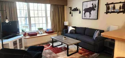 a living room with a couch and a tv at Deluxe Mountain Fox Suite Jiminy Peak - Ski On Off - Fully Redone Decor in Hancock