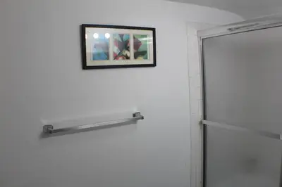 a bathroom with a shower and a picture on the wall at South End Serenity 2 in Hartford