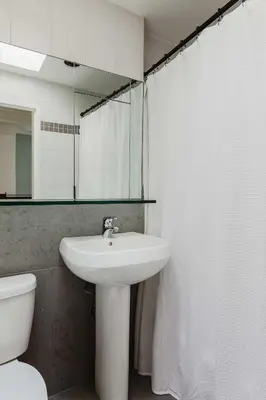 a bathroom with a sink and a toilet and a mirror at Private Penthouse w Roof Oasis in New York