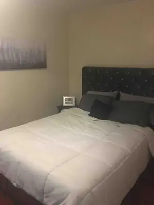 a bedroom with a large white bed with a headboard at The luxury lounge in Schenectady
