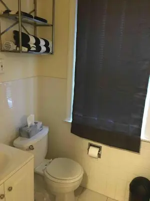 a bathroom with a toilet and a black shower curtain at The luxury lounge in Schenectady