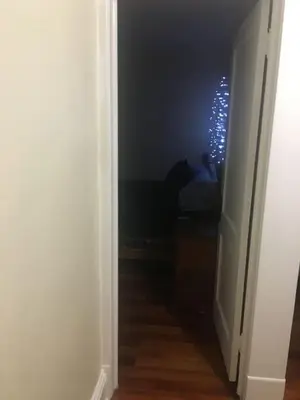 a person standing in a dark room with a hallway at 2 bedroom suite in Schenectady