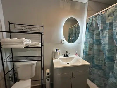 a bathroom with a sink and a toilet and a mirror at Perfect stay for couples in Springfield