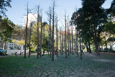 a person standing in a park with trees at Chelsea 1br w doorman lounge nr food hall NYC-1196 in New York