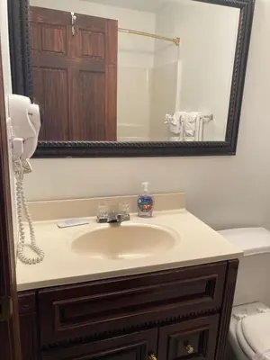 a bathroom with a sink and a mirror and a toilet at The Hotel Pratt in Cooperstown