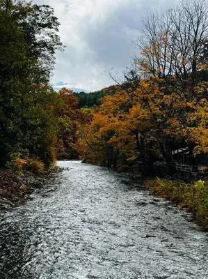 a river in the middle of a bunch of trees at Catskills Quaint Cottage with Peloton Minutes from Hiking in Mount Tremper