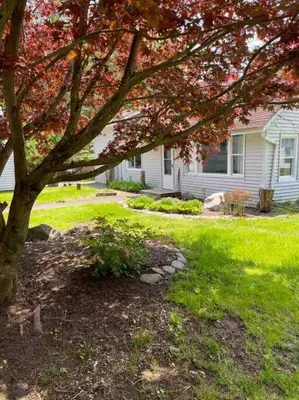 a house with a tree in front of a yard at Catskills Quaint Cottage with Peloton Minutes from Hiking in Mount Tremper