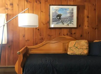 a bedroom with a wooden wall with a bed and a lamp at Panther Mountain Lodge in Phoenicia