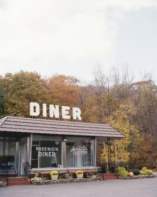 a dinner store with a sign on top of it at Panther Mountain Lodge in Phoenicia
