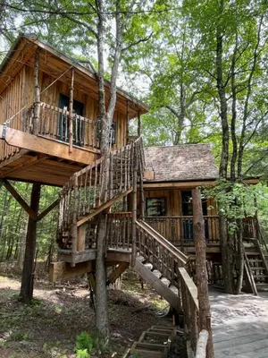 a tree house in the middle of the forest at Little Birds Treehouse in Sparrow Bush
