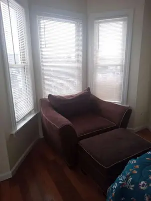 a living room with a couch and two windows at 1 bedroom with free parking in Schenectady