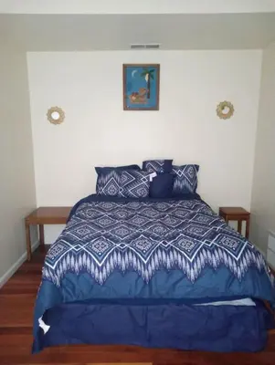 a bedroom with a blue bed with a blue comforter at comfy cozy roomy in Schenectady