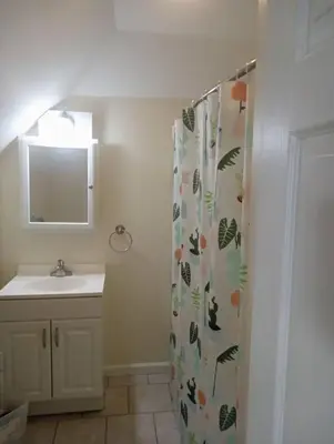 a bathroom with a shower curtain and a sink at a nice one bedroom free parking in Schenectady