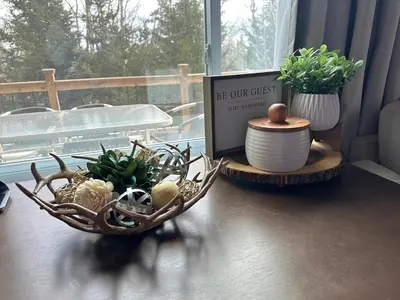 a table with a basket of plants and a book at Crooked Ear Cabin in Wilmington