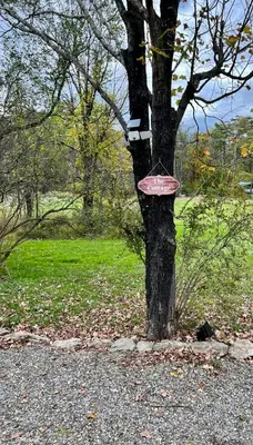 a tree with a pink frisbee on it at Country Cottage with beautiful views in Saugerties
