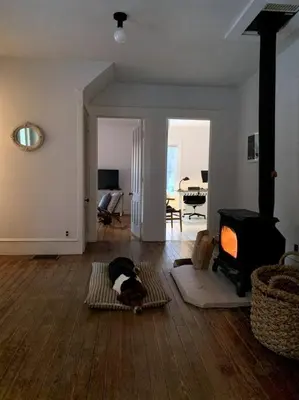 a dog laying on a rug in a living room at Bovina House in Bovina Center