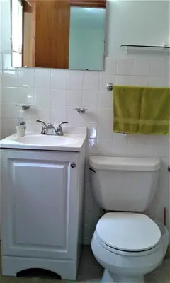 a bathroom with a white toilet and a sink at Black Bear Lodge in Prattsville