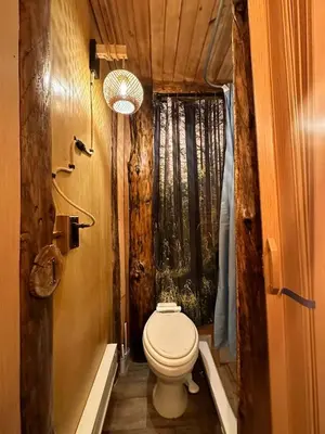 a small bathroom with a toilet in a house at The Dome house near Hunter and Hudson in Catskill