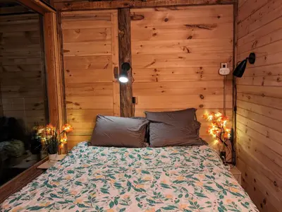 a bedroom with a bed in a wooden wall at The Dome house near Hunter and Hudson in Catskill