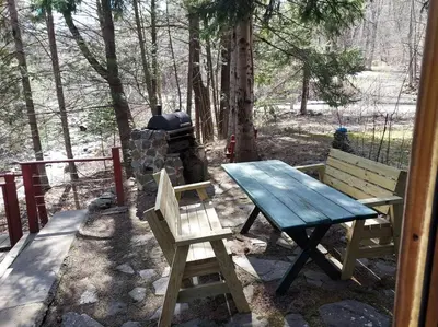 a picnic table and a bench in the woods at STREAMSIDE CABIN IN THE CATSKILLS in Chichester