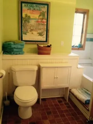 a bathroom with a white toilet and a sink at STREAMSIDE CABIN IN THE CATSKILLS in Chichester