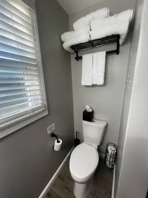 a bathroom with a white toilet and towels at Esopus Creekside in Lake Katrine