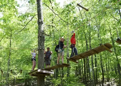a group of people on a zip line in the woods at 3BR, Lakeview, Hot Tub, Nintendo Switch - Deer Haven Poconos Retreat in Tobyhanna