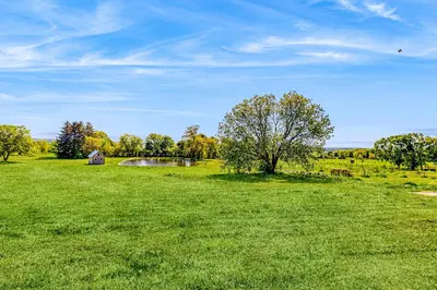 a green field with a tree and a pond at Group Getaway on Working Farm! Near Saratoga in Ballston Lake