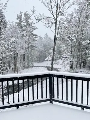 a balcony covered in snow with trees in the background at Serene Retreat on a Stream in Phoenicia