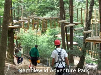 a group of people walking through a forest at Berkshires Studio Apartment at the Stephentown Hotel in Hancock