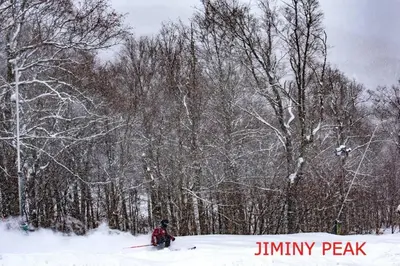 a person on skis in the snow next to trees at Berkshires Studio Apartment at the Stephentown Hotel in Hancock