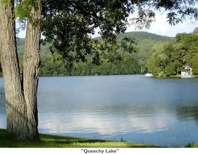 a tree sitting next to a large lake at 2 Bed Berkshire Getaway minutes to Jiminy Peak Ski in Hancock