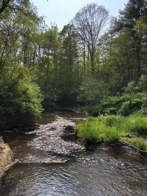 a river with rocks in the water and trees at Red Creek Hideaway in Cooperstown NY in Cooperstown