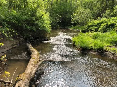 a river with a log in the middle of it at Red Creek Hideaway in Cooperstown NY in Cooperstown