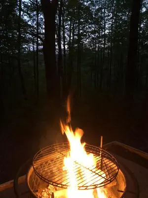 a fire pit in the middle of a forest at Red Creek Hideaway in Cooperstown NY in Cooperstown