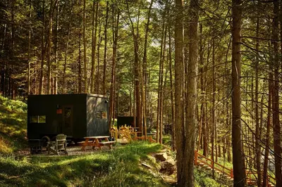 a shed in the middle of a forest at Postcard Cabins Machimoodus, Outdoor Collection by Marriott Bonvoy in Moodus
