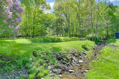 a stream in the middle of a field with trees at Cozy Catskills Cabin - 12 Mi to Windham Mountain! in East Durham