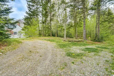 a dirt road in the middle of a forest at 8 Mi to Mount Snow Rustic Marlboro Cottage in Brattleboro