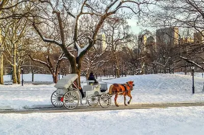 a horse pulling a carriage in the snow at New York Suite Upper East Side Manhattan in New York