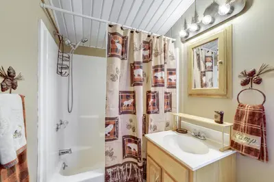 a bathroom with a sink and a shower curtain at Cardinal Pines Cabin on 8 Acres - Dog Friendly! in New Berlin