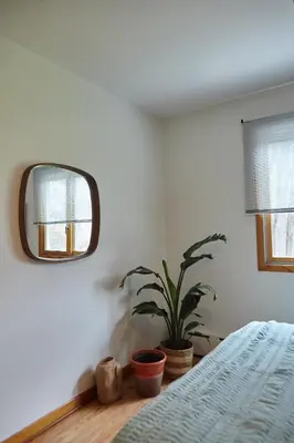 a bedroom with a potted plant and a mirror at Catskills Retro Retreat- Upstate Home W Hot Tub in Saugerties