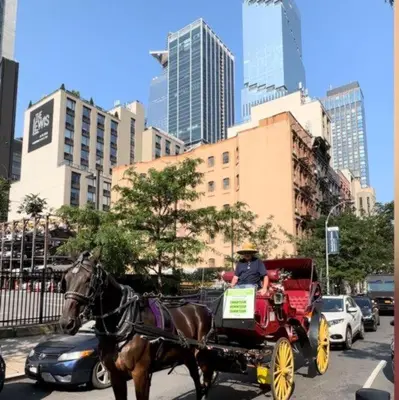 a man riding a horse drawn carriage on a city street at Hudson Yard 408 in New York
