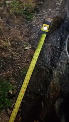 a yellow measuring tape sitting on the side of a road at The Fred Deluxe 7 BR by I95 Train HarborVw Beach in Stamford