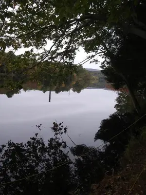 a lake with a tree in the middle of it at Tentrr Riverfront Ritz in Lake Luzerne
