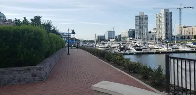 a brick sidewalk next to a marina with boats at The Gold Room near downtown trains fast wifi in Stamford