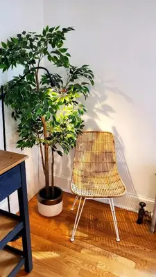 a rattan chair and a plant in a room at The Blue Sapphire 2BR 2 King beds & ample backyard in Bridgeport