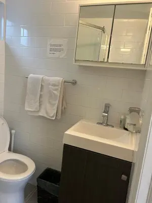 a bathroom with a sink and a toilet and a mirror at Cozy apt 30mins from Times square!!! in Corona