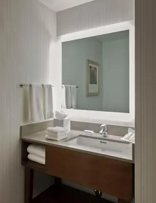 a bathroom with a sink and a mirror and towels at Hilton Garden Inn Long Island City in Queens